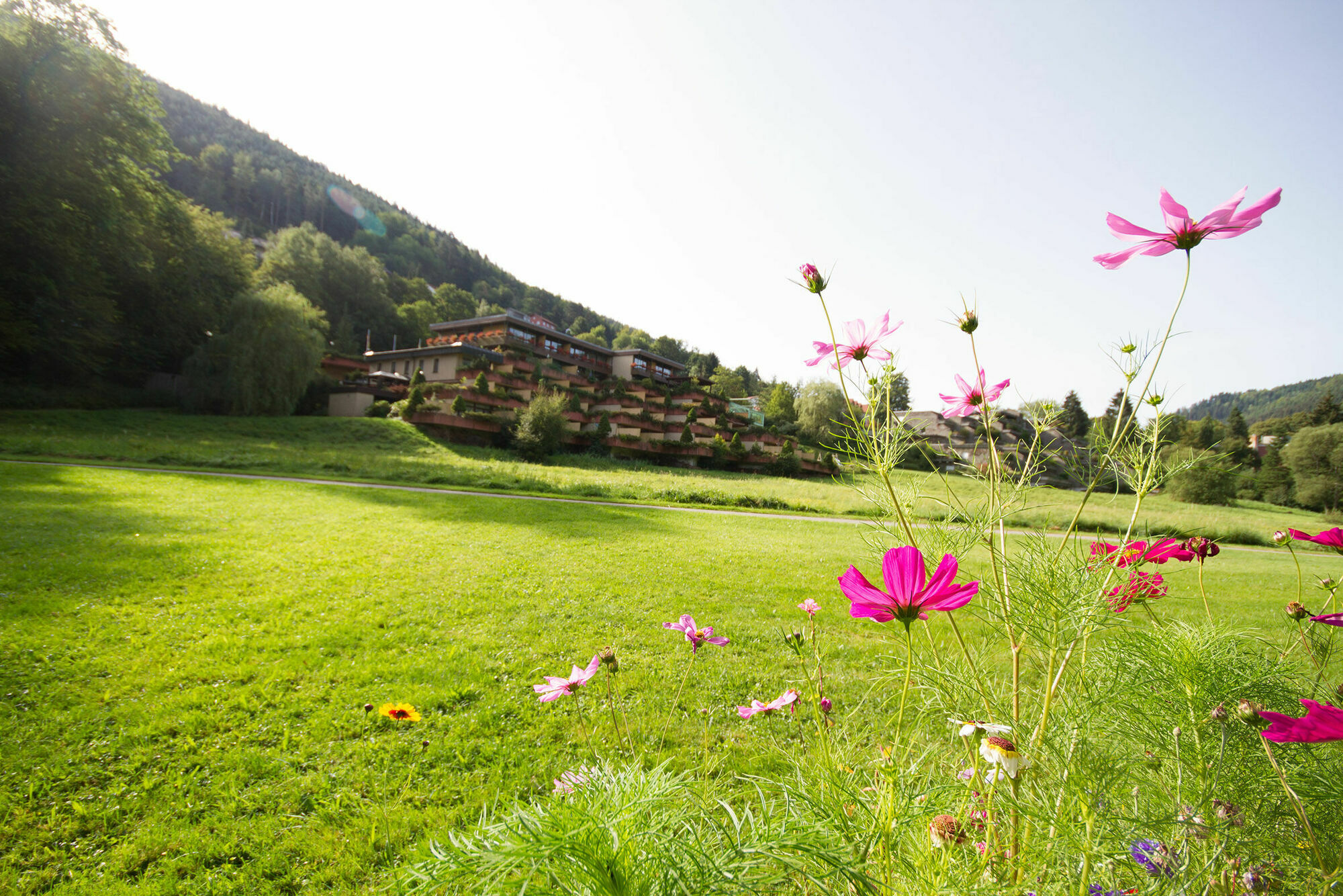 Hotel Valsana Am Kurpark Бад-Вильдбад Экстерьер фото